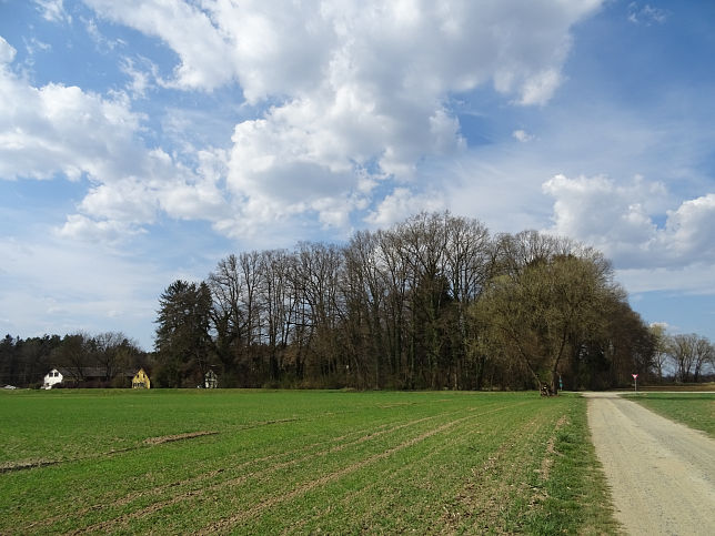 Rohrbrunn, Schloss Rohrbrunn