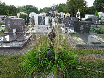 Friedhof Burgau (mit Burgauberg)