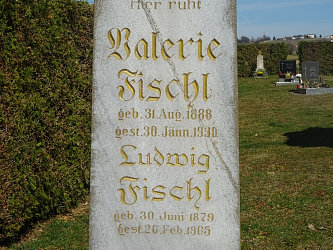 Friedhof Deutsch Tschantschendorf