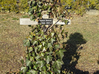 Friedhof Heiligenkreuz im Lafnitztal