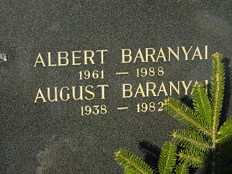 Friedhof Heiligenkreuz im Lafnitztal