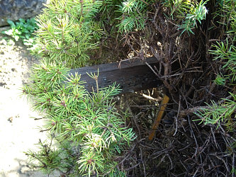Friedhof Kukmirn, evangelisch