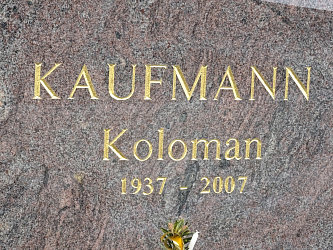 Friedhof Neusiedl bei G�ssing