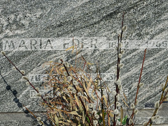 Friedhof Oberbildein