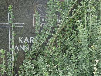 Friedhof Stegersbach