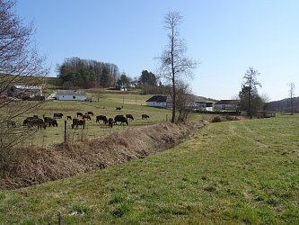 Friedhof Tschanigraben