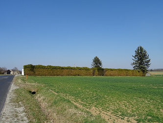 Friedhof Unterbildein