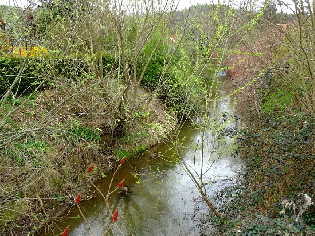 Altschlaining, Tauchenbach