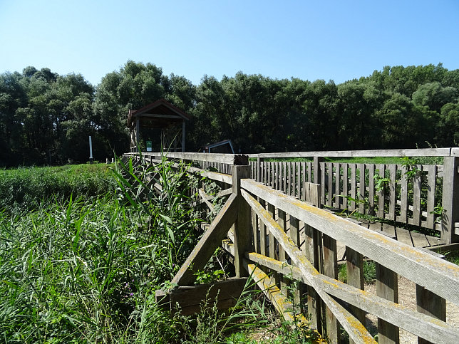 Andau, Brcke von Andau