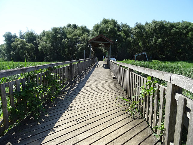 Andau, Brcke von Andau