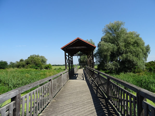 Andau, Brcke von Andau