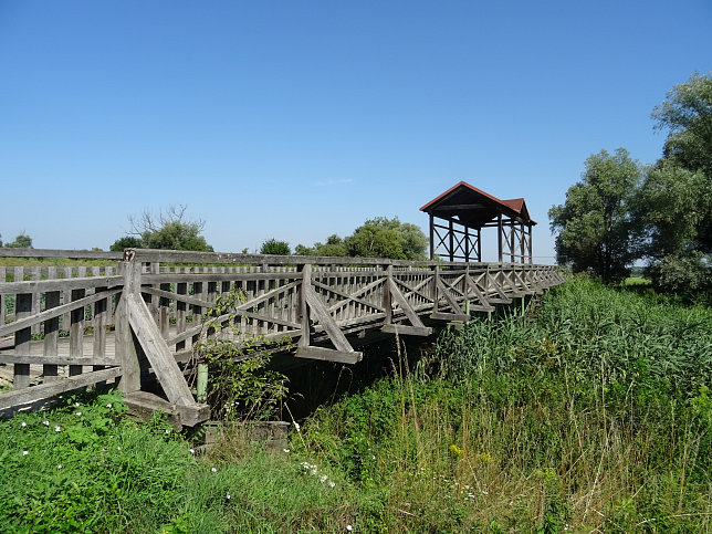 Andau, Brcke von Andau