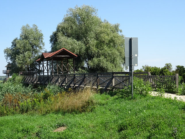 Andau, Brcke von Andau