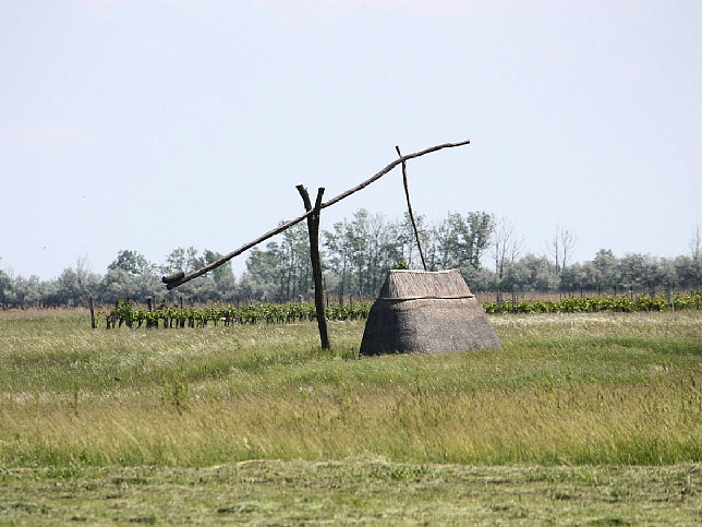 Apetlon, Ziehbrunnen