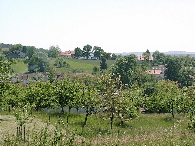 Buchschachen