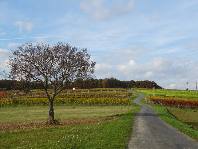 Deutsch Ehrensdorf, Greutwiesen