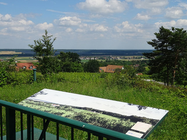 Deutsch Schtzen, Weinberg
