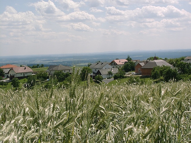 Dreihtten