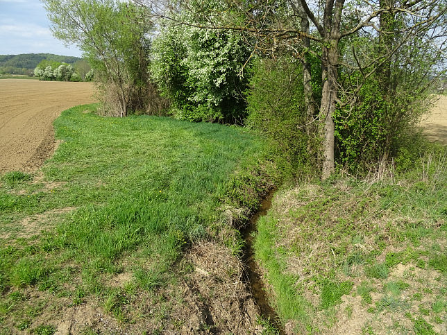 Gritsch, Gritschbach