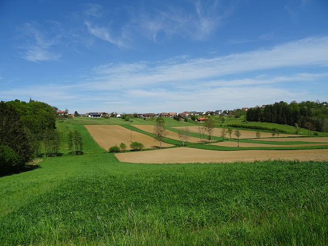 Gromrbisch