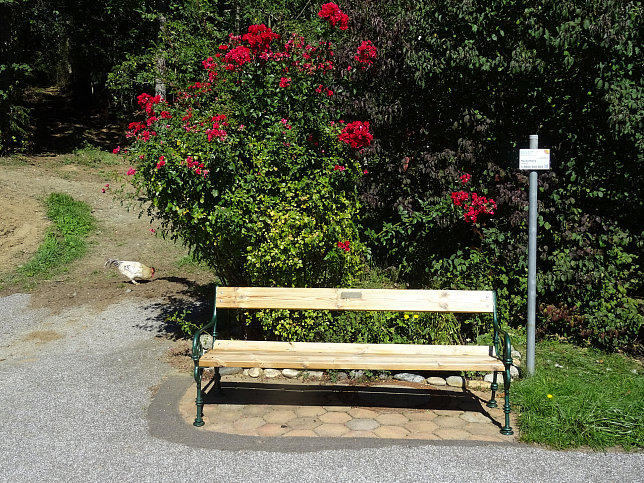 Hackerberg, Sitzbank