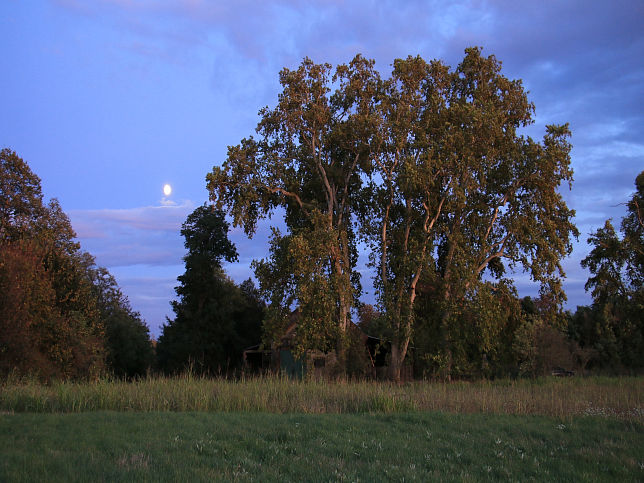 Kleylehof