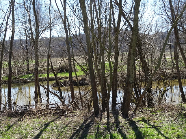 Knigsdorf, Zusammenfluss Lafnitz und Rittschein