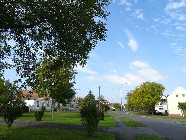 Moschendorf