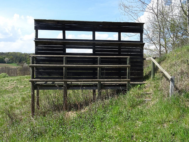 Neustift bei Gssing, Bienenfresserkolonie