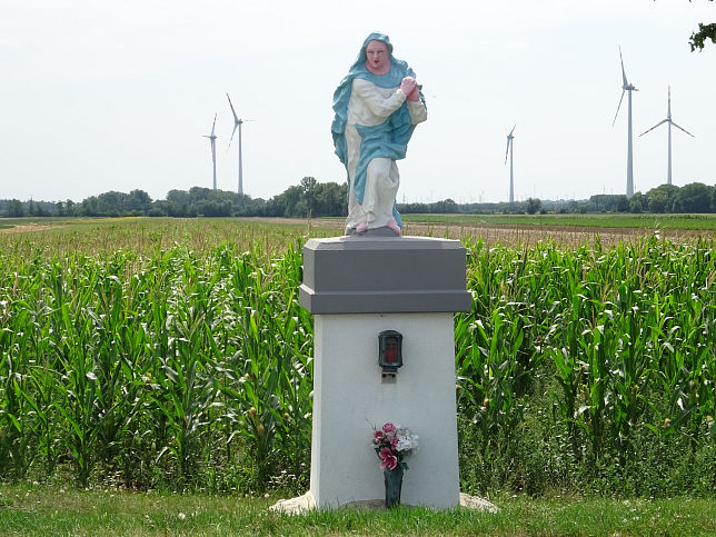 Pama, Maria Immaculata