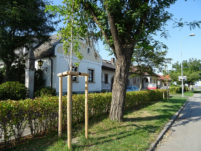 Podersdorf am See, Julakreuz in der Neusiedler Straße
