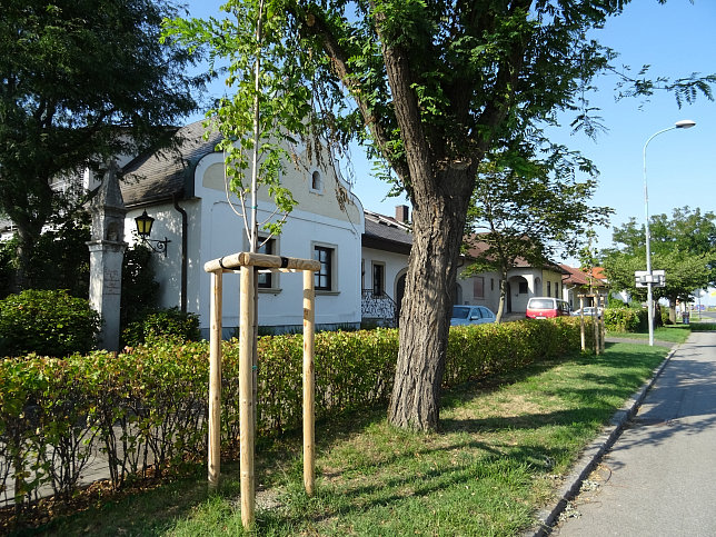 Podersdorf am See, Julakreuz in der Neusiedler Strae