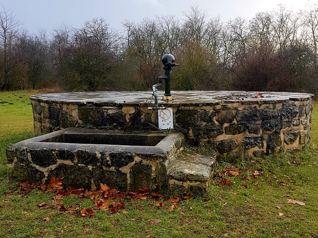 Siegendorf, Pusztahof