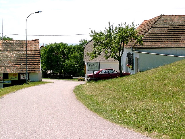 Weinberg im Bgld.