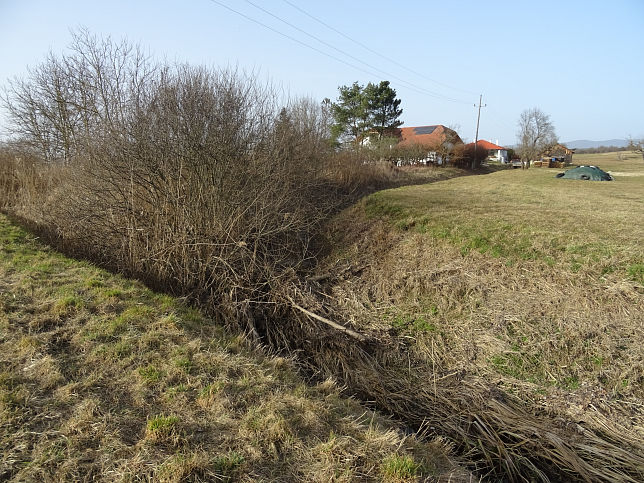 Welgersdorf, Kleiner Waldbach