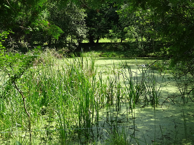 Wrterberg, Rundweg (7,50 km)