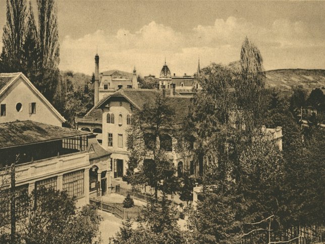 Bad Sauerbrunn, Wasserheilanstalt