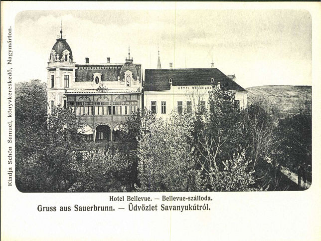 Bad Sauerbrunn, Hotel Bellevue