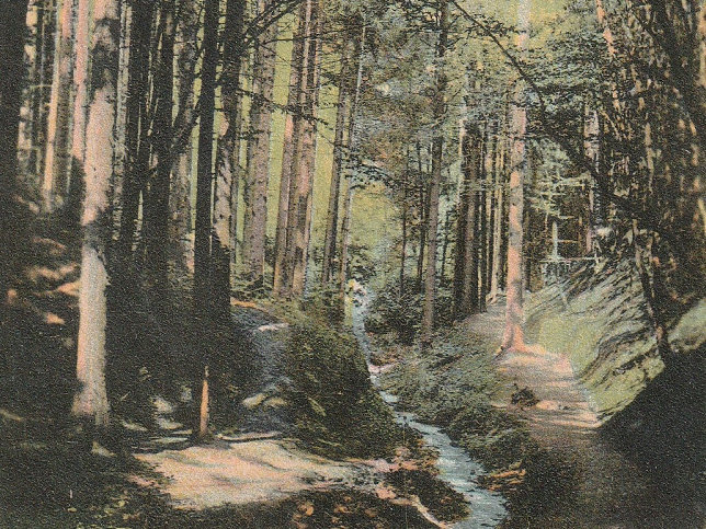 Bad Sauerbrunn, Reitsteg