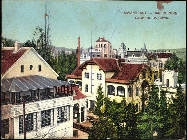 Bad Sauerbrunn, Sanatorium Dr. Grimm