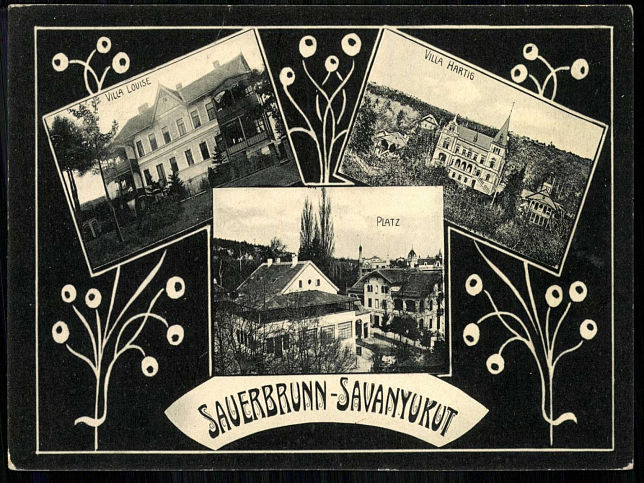 Bad Sauerbrunn, Villa Louise, Villa Hartig und Platz