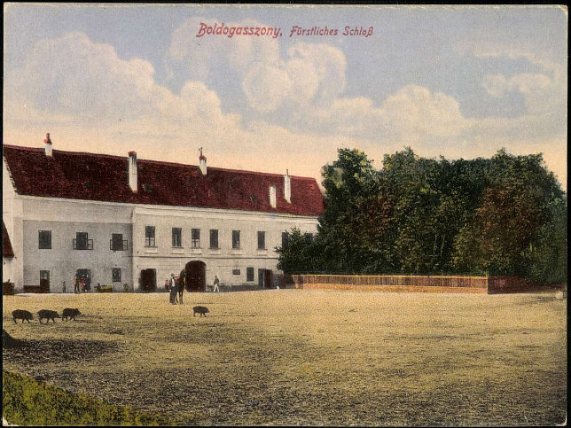 Frauenkirchen, Frstliches Schloss