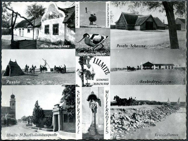 Illmitz, Mehrbildkarte