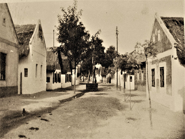 Illmitz, Triftgasse