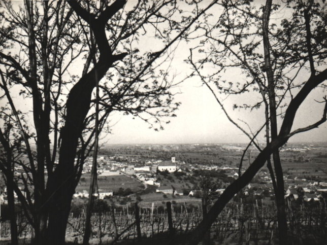 Jois, Blick auf Jois