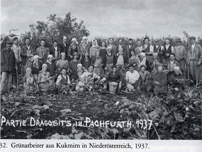 Kukmirn, Grnarbeiter