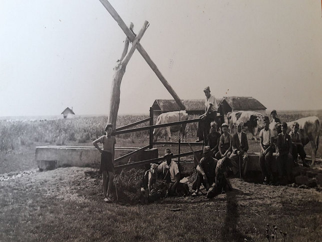 Pamhagen, Hutweide
