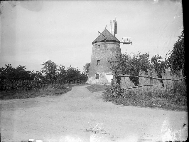 Podersdorf, Windmhle