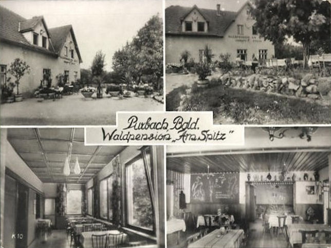 Purbach, Waldpension