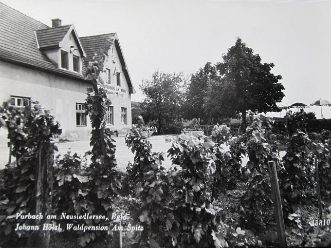 Purbach, Waldpension